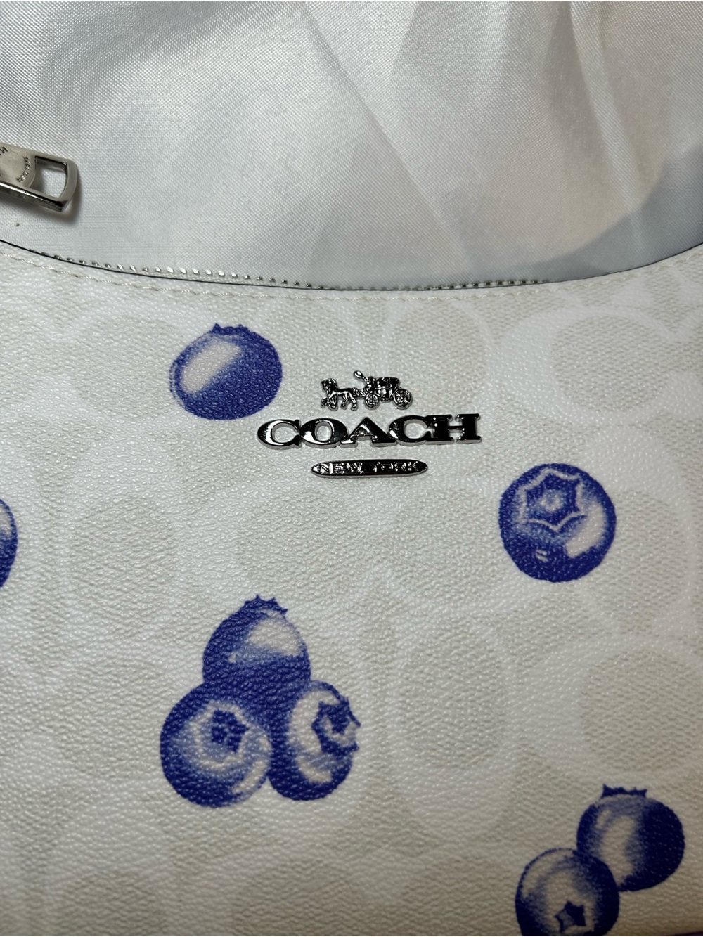 Blueberry Coach Teri Shoulder Bag🫐